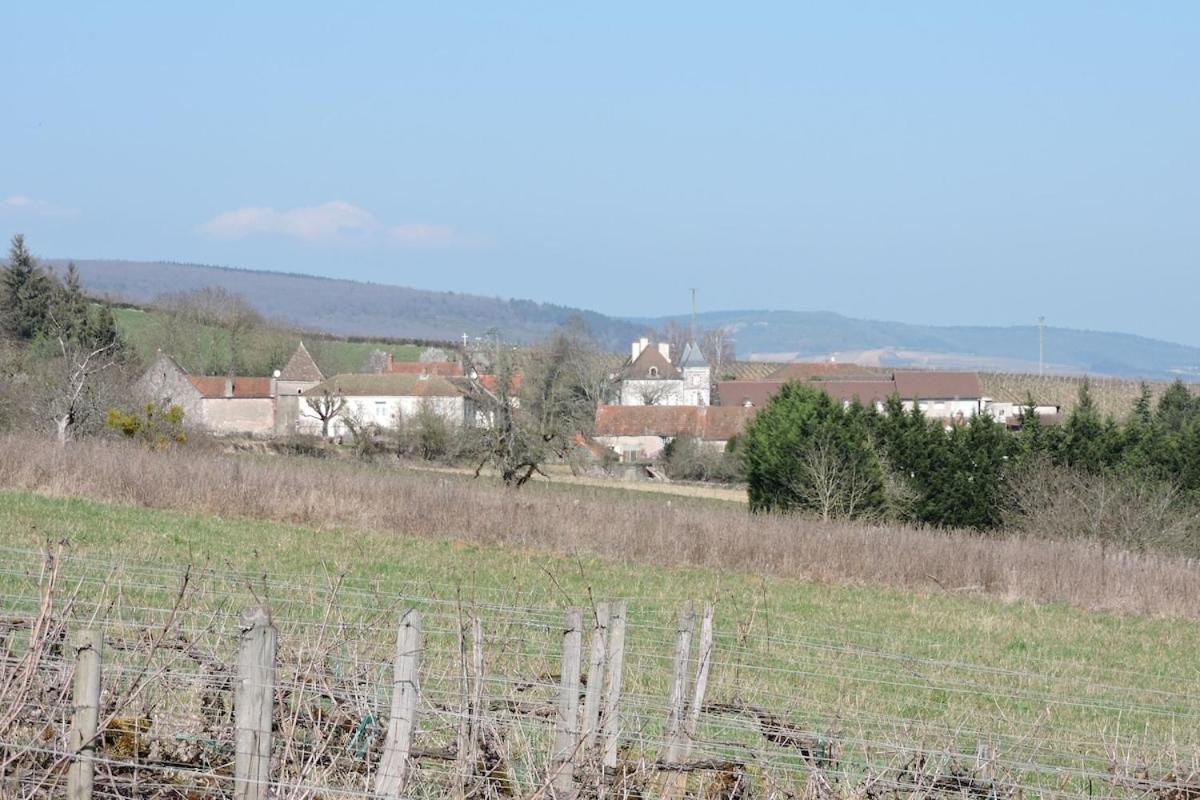 Gite Du Vigneron Chassey-le-Camp Exterior foto